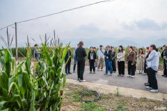 也获得了业内人士的