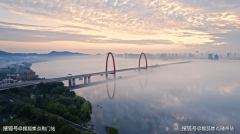 城知海棠正在无限的前提里