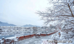 400_998_7894项目配