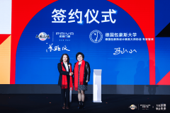 做为跨范畴、强链接的性协